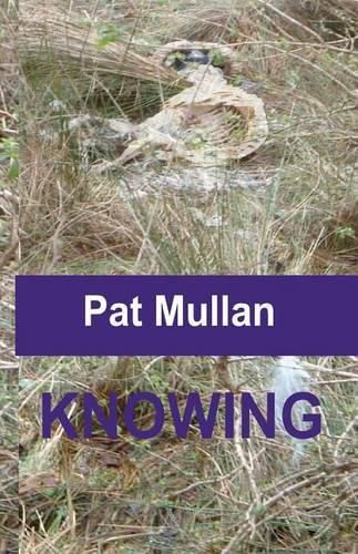 Cover image for Knowing