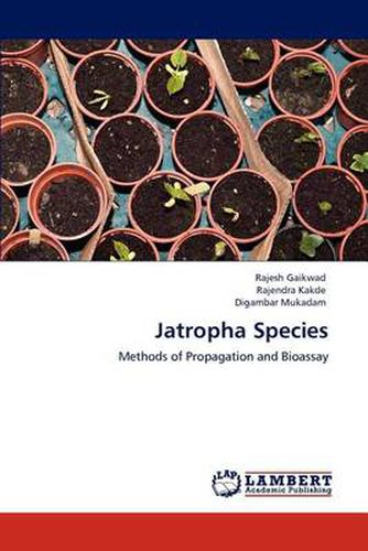 Jatropha Species