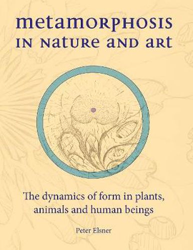 Cover image for Metamorphosis in Nature and Art: The Dynamics of Form in Plants, Animals and Human Beings