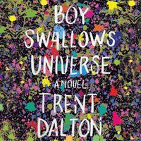 Cover image for Boy Swallows Universe