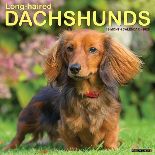 Cover image for Longhaired Dachshunds 12 X 12 Wall Calendar