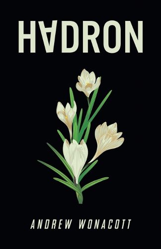 Cover image for Hadron