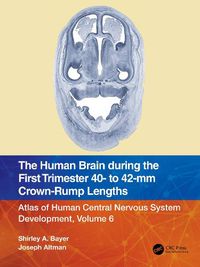 Cover image for The Human Brain during the First Trimester 40- to 42-mm Crown-Rump Lengths: Atlas of Human Central Nervous System Development, Volume 6