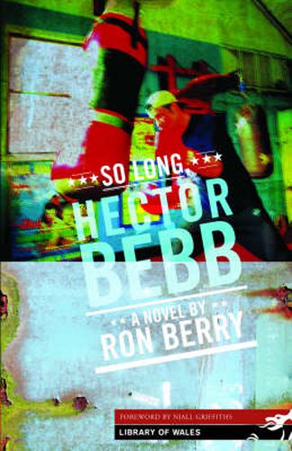 Cover image for So Long Hector Bebb