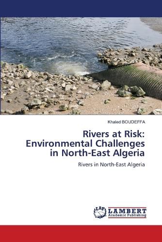 Cover image for Rivers at Risk