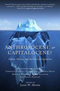 Cover image for Anthropocene Or Capitalocene?: Nature, History, and the Crisis of Capitalism