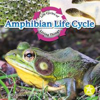 Cover image for Amphibian Life Cycle