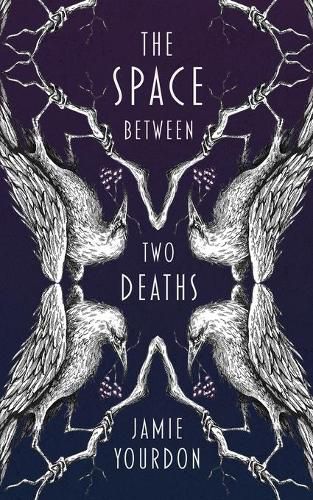 Cover image for The Space Between Two Deaths