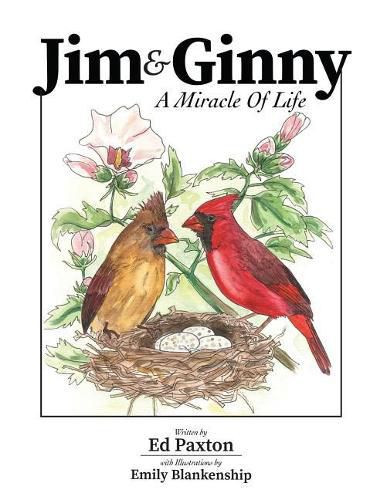 Cover image for Jim and Ginny: A Miracle Of Life