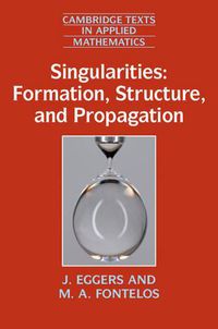 Cover image for Singularities: Formation, Structure, and Propagation