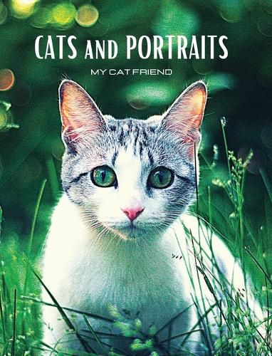 Cover image for CATS and PORTRAITS - My cat friend