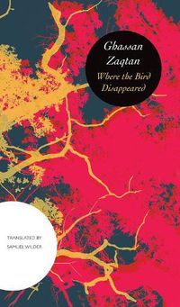 Cover image for Where the Bird Disappeared