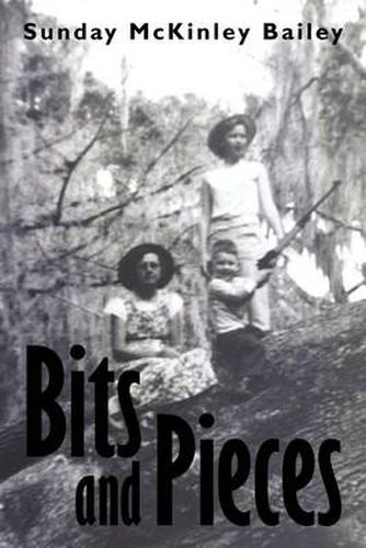 Cover image for Bits and Pieces