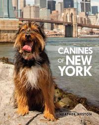 Cover image for Canines of New York