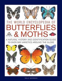 Cover image for Butterflies & Moths, The World Encyclopedia of: A natural history and identification guide to over 565 varieties around the globe