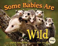 Cover image for Some Babies Are Wild