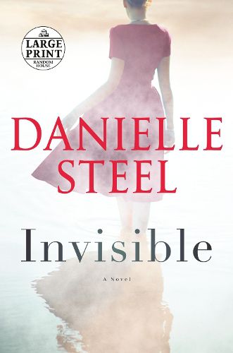 Cover image for Invisible: A Novel