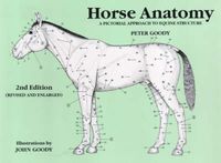 Cover image for Horse Anatomy: A Pictorial Approach to Equine Structure