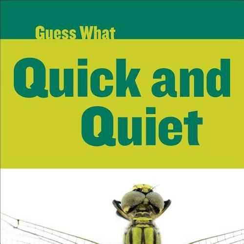 Cover image for Quick and Quiet: Dragonfly