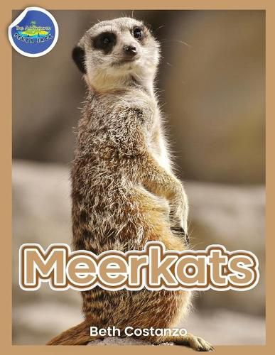 Cover image for Meerkat Activity Workbook for Kids ages 4-8