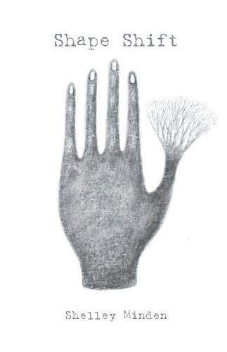 Cover image for Shape Shift