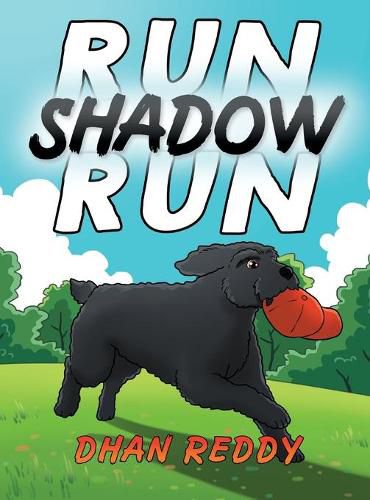 Cover image for Run Shadow Run