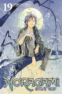 Cover image for Noragami: Stray God 19