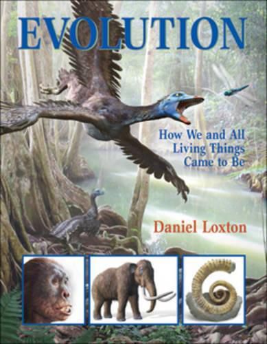 Cover image for Evolution