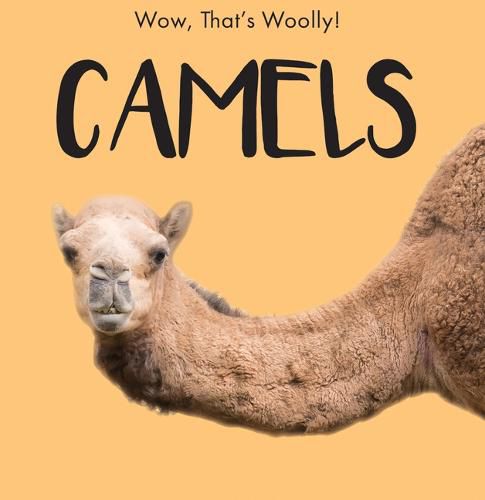 Camels