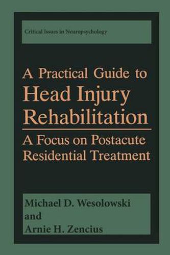 Cover image for A Practical Guide to Head Injury Rehabilitation: A Focus on Postacute Residential Treatment
