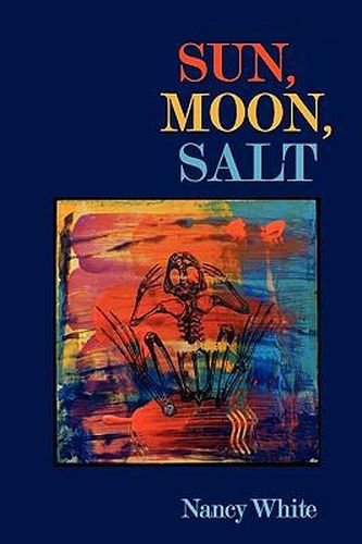 Cover image for Sun, Moon, Salt