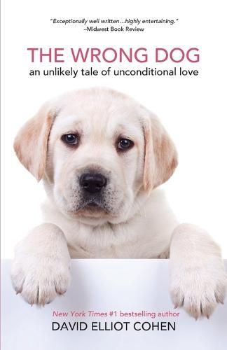 Cover image for The Wrong Dog: An Unlikely Tale of Unconditional Love (For lovers of dog tales)