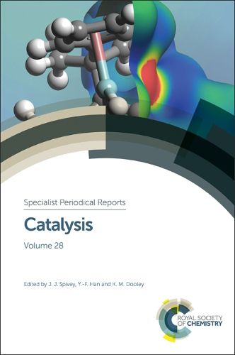 Cover image for Catalysis: Volume 28