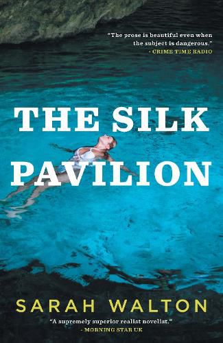 Cover image for The Silk Pavilion