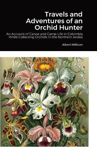 Cover image for Travels and Adventures of an Orchid Hunter