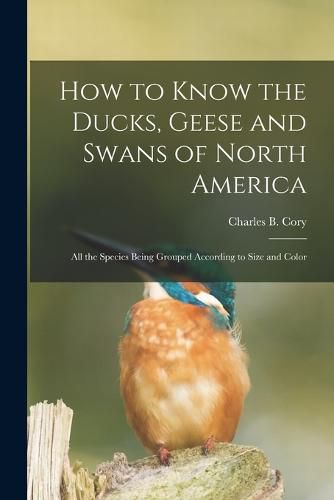 Cover image for How to Know the Ducks, Geese and Swans of North America