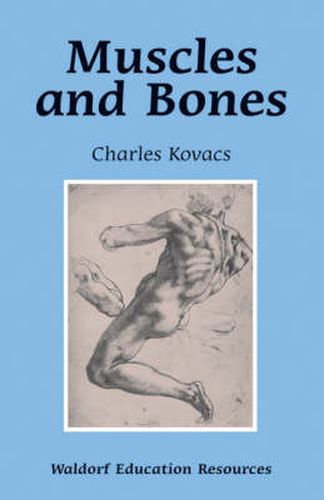 Cover image for Muscles and Bones