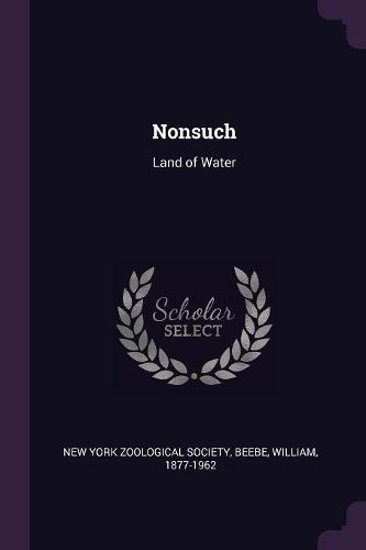 Cover image for Nonsuch