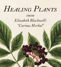 Cover image for Healing Plants