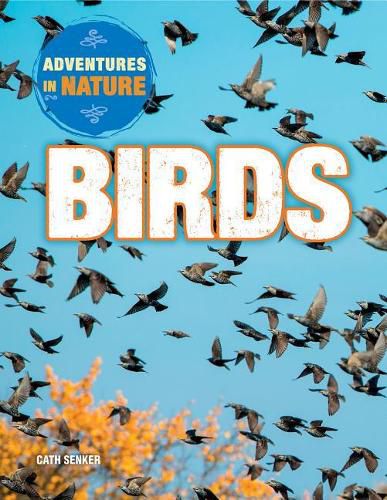 Cover image for Birds