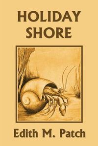 Cover image for Holiday Shore (Yesterday's Classics)