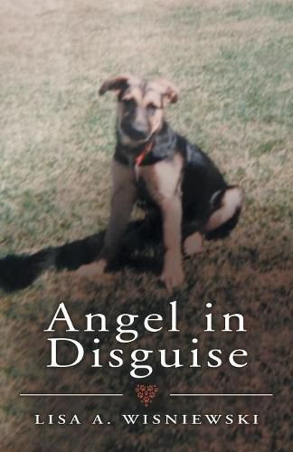 Cover image for Angel in Disguise