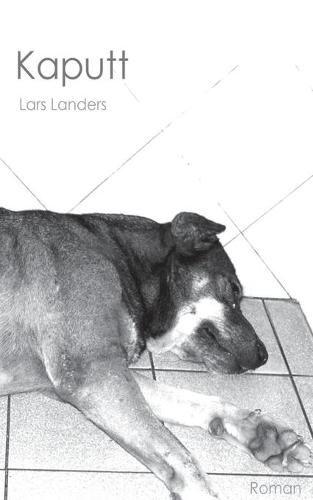 Cover image for Kaputt