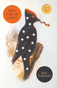 Cover image for First Law of Holes