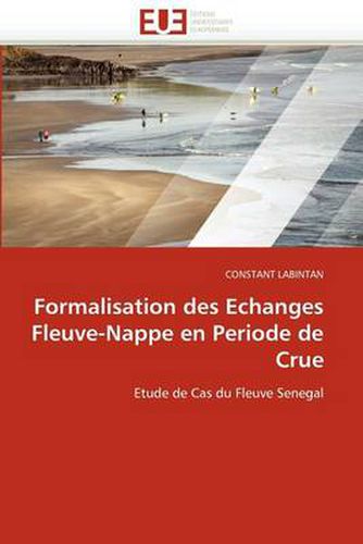 Cover image for Formalisation Des Echanges Fleuve-Nappe En Periode de Crue
