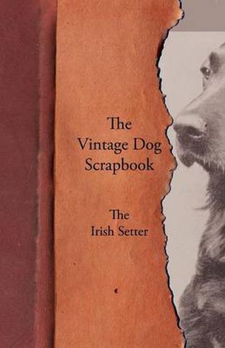 Cover image for The Vintage Dog Scrapbook - The Irish Setter