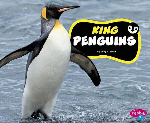 Cover image for King Penguins