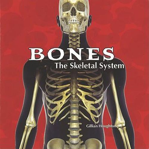 Cover image for Bones: The Skeletal System