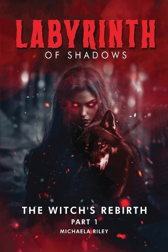 Cover image for Labyrinth of Shadows