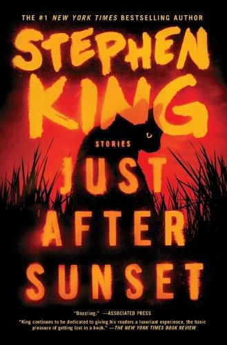 Cover image for Just After Sunset: Stories